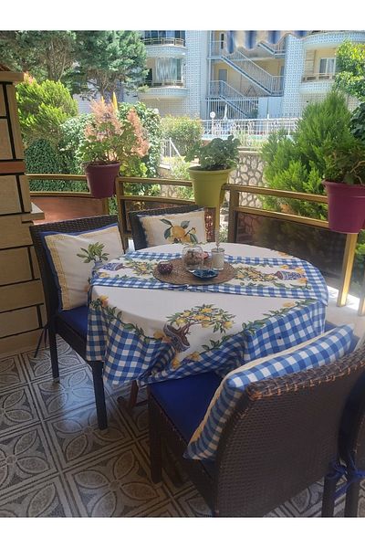 KEDİ Lemon Runner