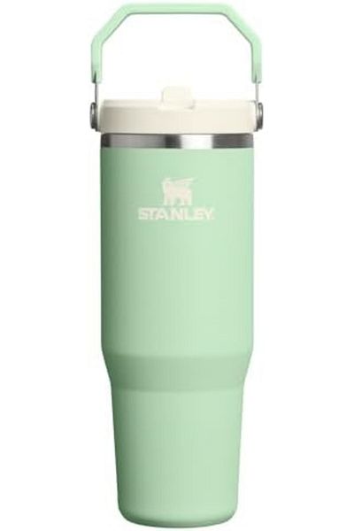 Stanley IceFlow 2.0 Flip Straw Tumbler with Handle 30 oz