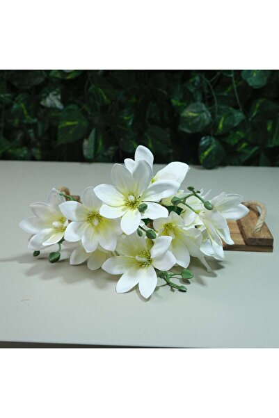 Kanguroom Gerçek Dokulu Yıldız Manolya 5 Dal 47 cm Krem Damarlı Islak Manolya...