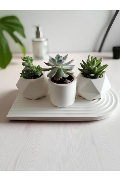 Grimsi 3’lü Beton Saksı Seti – Dekoratif Sunum Tepsili (Bitkiler Hariç)