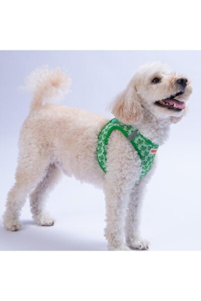 Pawstar Frog Air-mesh Göğüs Tasması Kedi Köpek Göğüs Tasması Kurbağa Desenli Köpek Tasması