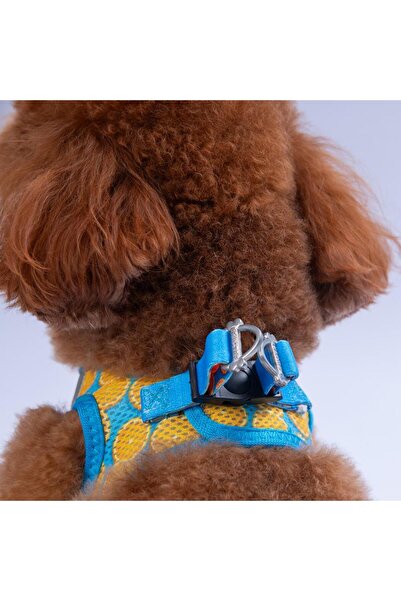 Pawstar Citrus Air-mesh Göğüs Tasması Kedi Köpek Göğüs Tasması Narenciye Desenli Köpek Tasması