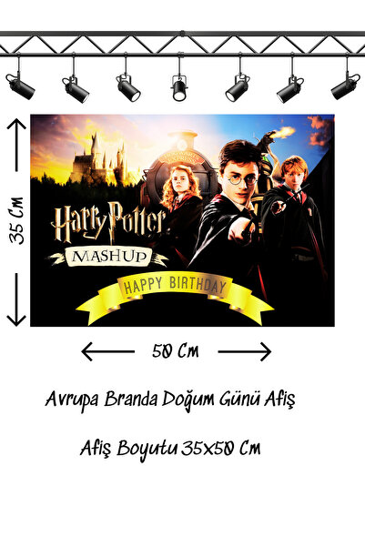 snowparty Harry Potter Themed Birthday Banner