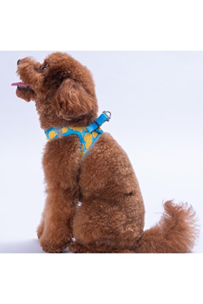 Pawstar Citrus Air-mesh Göğüs Tasması Kedi Köpek Göğüs Tasması Narenciye Desenli Köpek Tasması