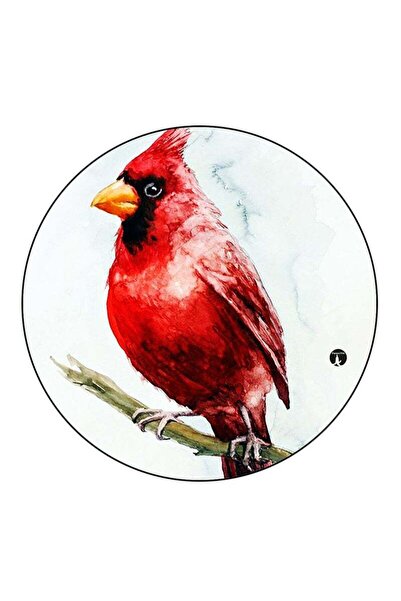 Generic Bird Printed Fridge Magnet Round Multicolour