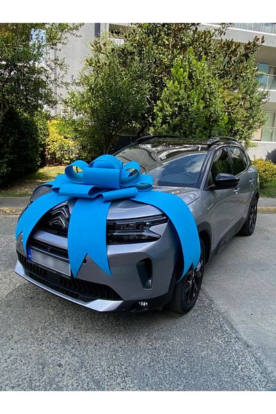 Hepsi Enteresan Felt Bow on Vehicle, Gift Bow