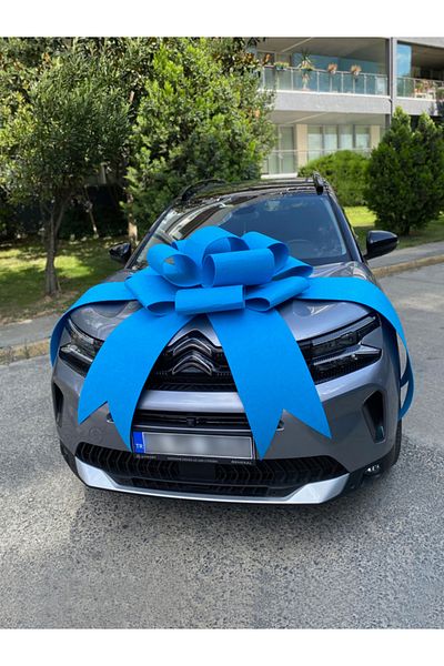 Hepsi Enteresan Felt Bow on Vehicle, Gift Bow