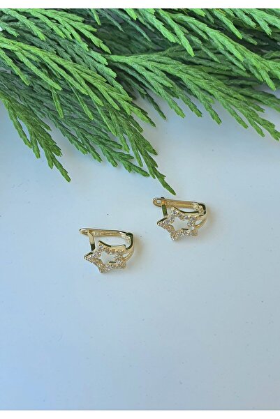 Goldlife jewellery KIZ BEBEK ÇOCUK TAŞLI YILDIZ 14 AYAR ALTIN KÜPE