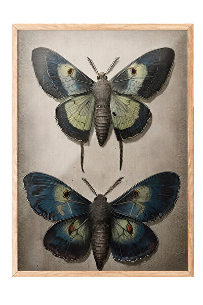 Zestia Tablou cu ramă din lemn, Fluture vintage, Poster decorativ pentru dorm...