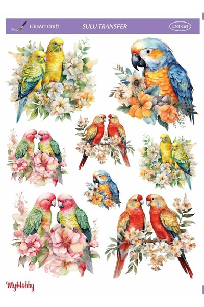 LİNEART Sulu Transfer Lnt163 25x35cm, Dekopaj