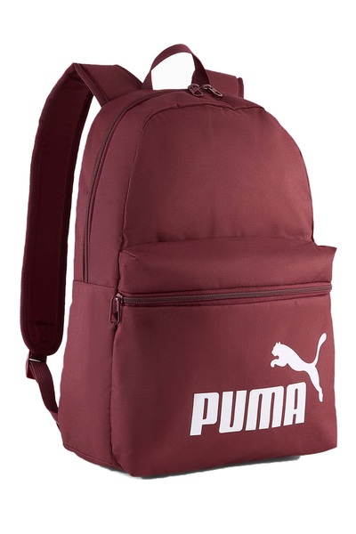 Puma Phase Backpack Suitable for Daily Use Backpack and School Bag Colorful