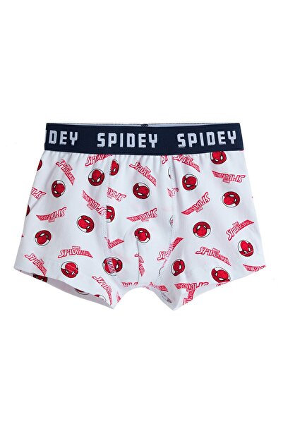 R&B 3 Pack Spider-Man Print Boxer Briefs