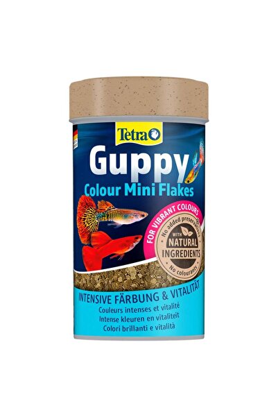 Tetra Guppy Colour Mini Flakes Pul 100 ml Lepistes Yemi Skt :03/2028 Orjinal Anadol