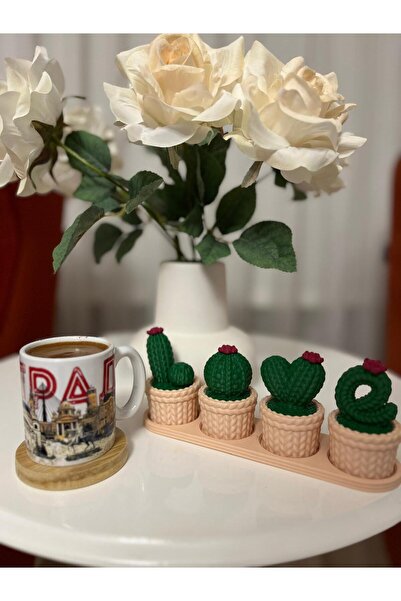 Kaya Hediyelik 4'lü Kaktüs Tepsili LOVE Kaktüs Takim