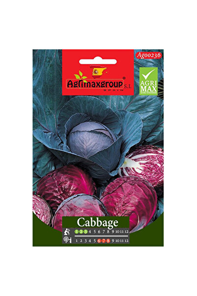 agrimax بذور الملفوف الأحمر عالية الجودة (صنع في إسبانيا)