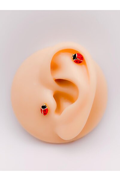 Trinos Cerrrahi Çelik Piercing ( Pirsing ) Zirkon Uğur Böceği Tragus Helix Pi...