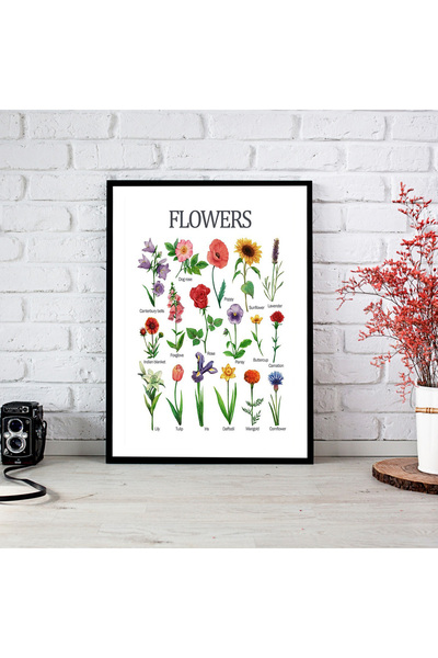 woodsia Tablou cu poster din lemn MDF cu aspect de cadru dintr-o singură buca...