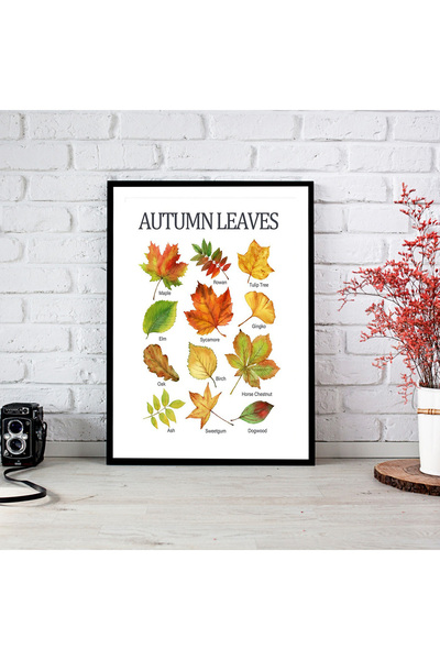 woodsia Tablou cu poster din lemn MDF cu aspect de cadru dintr-o singură buca...