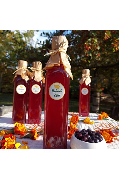 Diplomaliciftci Yaban Mersini Sirkesi - (500ml)