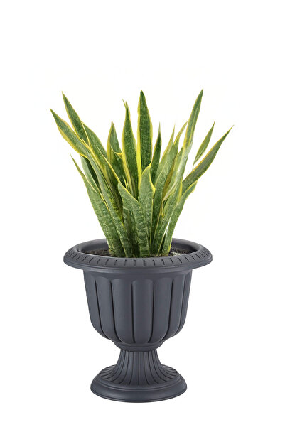 TEMMUZ HOME Nergis Saksı 3,4 Litre Plastik Ayaklı Çiçek Saksısı