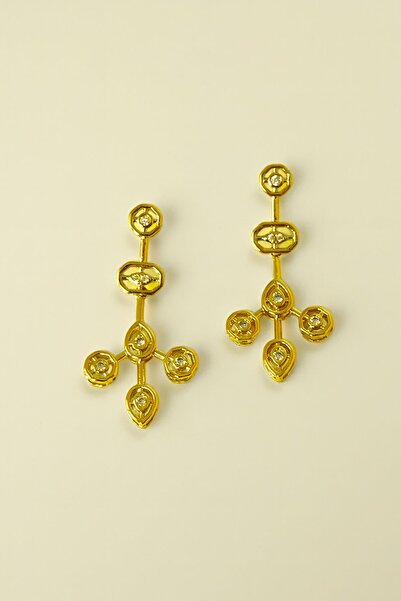 TAKIŞTIR Gold Color Stone Detailed Earrings (Pair)