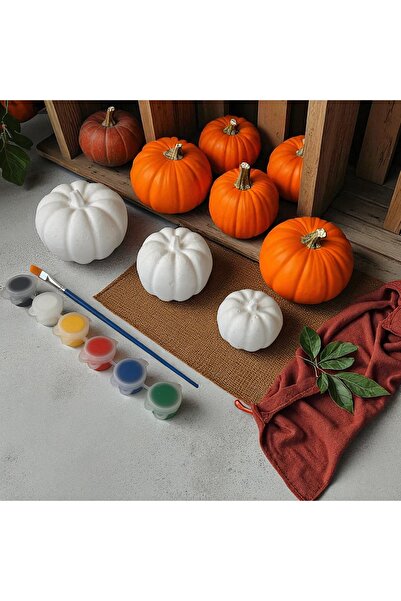 magnocandles Pumpkin kabak 3 boy büyük orta ve küçük boy boyama seti taş tozu...