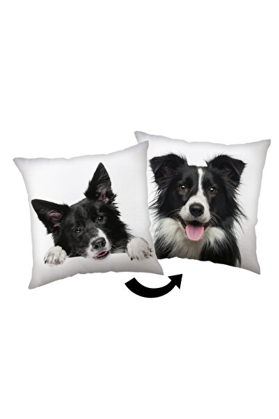 Animals Pernă decorativă pentru câini Border Collie 40x40 cm