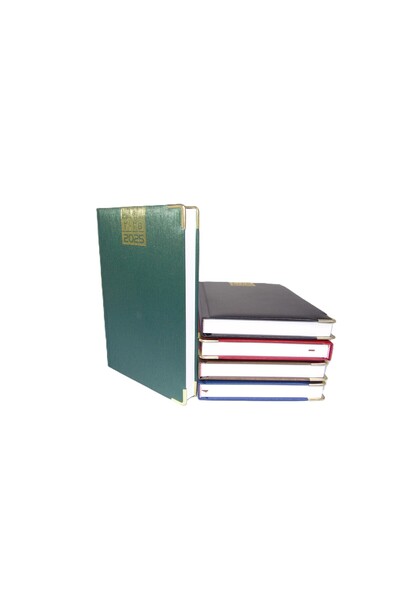 skylion Skyline 2025 Diary with Gold Frame - Model SKD-017 - Multicolor - A5 Size