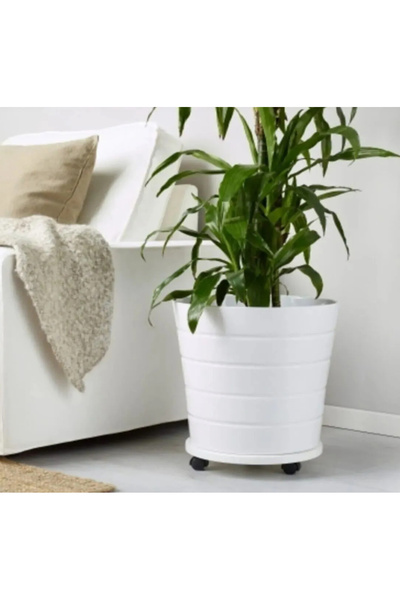 HOLLKA Tekerlekli damacana-Tüp-Çiçeklik altlığı