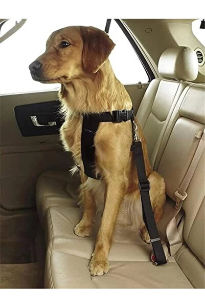 AyrStore Evcil Hayvan Araç Emniyet Kemeri Kedi Köpek Araba Oto Tasması Oto Ak...