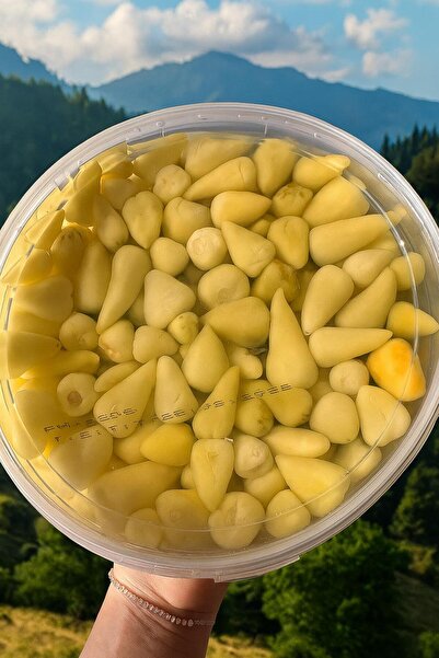 ilhami demirbaş Biberiye turşu 1000gr