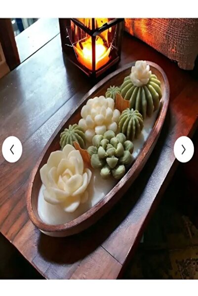 magnocandles Saksıda Kayık tabakta Kaktüs Seti- 8’li Mini Dekoratif Sukulent,...