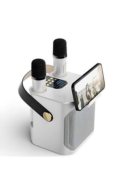 Aviros High Power Portable Bluetooth Karaoke Speaker 360 Stereo Surround Wireless with Dual Microphone
