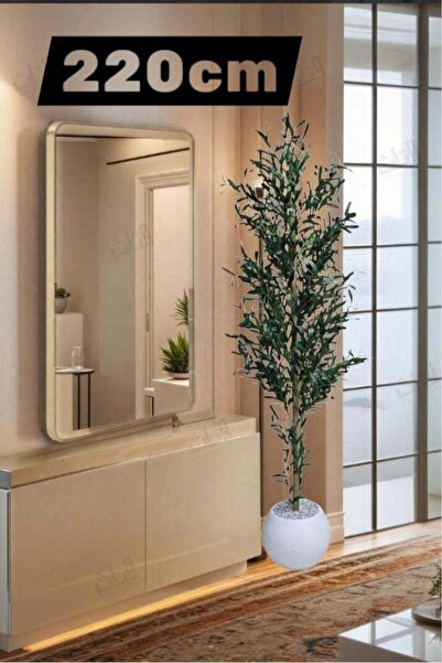 BYT ALRWASM FOR TRADE شجرة زيتون مثمرة في وعاء أبيض كبير، تصميم أنيق 220 سم