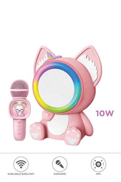 Başkenttekno 04 Pembe RGB Sevimli Figürlü Mikrofonlu Karaoke Bluetooth Hoparlör