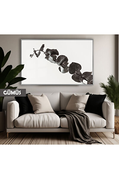 Harikabirev HARİKABİREV | MODEL DE PLANTĂ CU FRUNZE DE CULOARE NEGRU&ALB | TA...