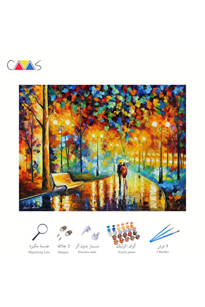 Canvasstore لوحة أضواء الليل - 24 لونًا للرسم بالأرقام 40*50 سم، قماش