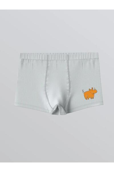 LC Waikiki LCW Baskılı Penye Erkek Çocuk Boxer 3'lü (W5)