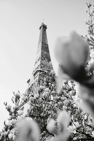 Harikabirev HARIKABİREV | MODELUL TURNUL EIFFEL NEGRU & ALB -4 | TABELA DIN STICLA TEMPERATĂ CU CADRU, SIMPLE, VERTICALĂ