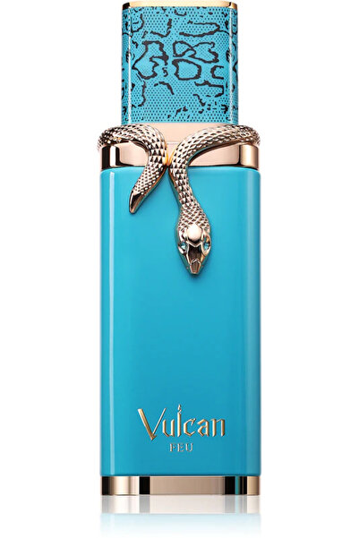 Vulcan Feu French Avenue elegante Trendyol | Stil urban premium