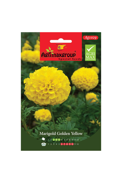 agrimax بذور القطيفة الذهبية الصفراء عالية الجودة (صنع في إسبانيا)
