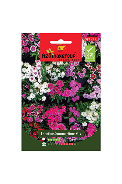 agrimax بذور القرنفل الصيفية عالية الجودة (صنع في إسبانيا)