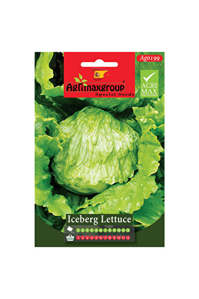 agrimax بذور خس الجبل الجليدي عالية الجودة (صنع في إسبانيا)