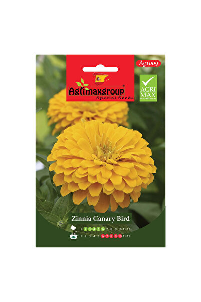 agrimax بذور زينيا الكناري عالية الجودة (صنع في إسبانيا)