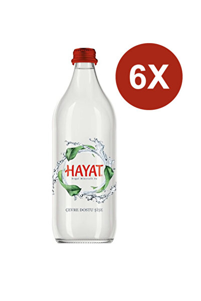 Hayat Su 750 ML Cam Şişe x 6 Adet