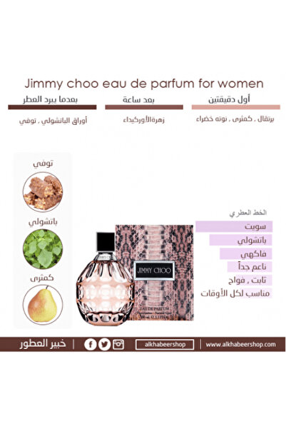 Jimmy Choo Jimmy Choo Eau de Parfum 100ml