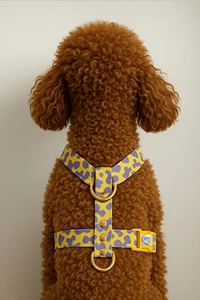 TheTailor H Type Pla Clip Dog Chest Collar Leash