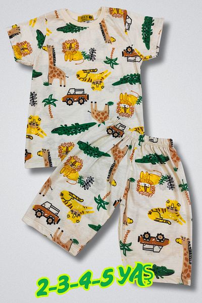 Deyzikids Animal T-Shirt Kids Girls and Boys Tracksuit Set Cute and Cool Casual T-Shirt and Bottom Top 2-12 Years