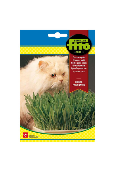 Semillas Fito Grass for Cat Premium Quality Seeds (Made in Spain) by Fito