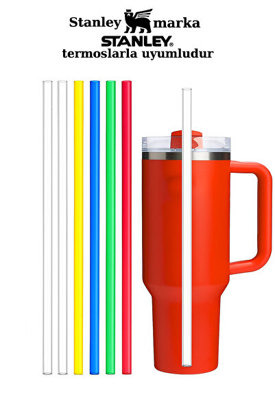 Genel Markalar Stanly Quencher Termosla Uyumlu Yedek Pipet, 6'lı Yeniden Kullanılabilir Pipet, Plastik, Şeffaf